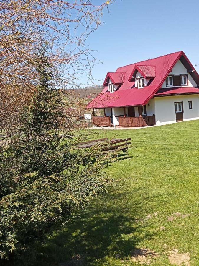 Drozdowka Nad Solina - Chata Z Kominkiem Exteriér fotografie