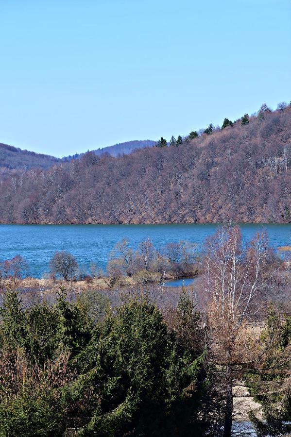 Drozdowka Nad Solina - Chata Z Kominkiem Exteriér fotografie